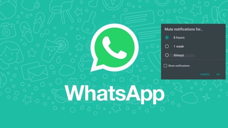 So schalten Sie Chats und Gruppen auf WhatsApp stumm